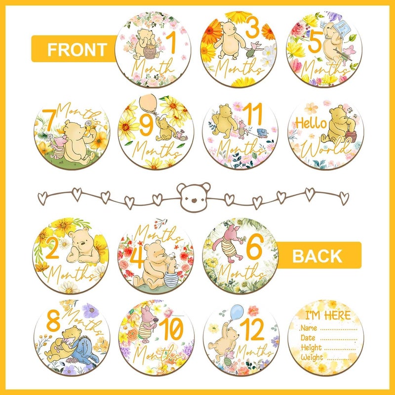Al Raied ARS® 7 Pcs Winnie Baby Monthly Milestone Circles - Double Sided Wooden Signs with Storage Bags - Image 3