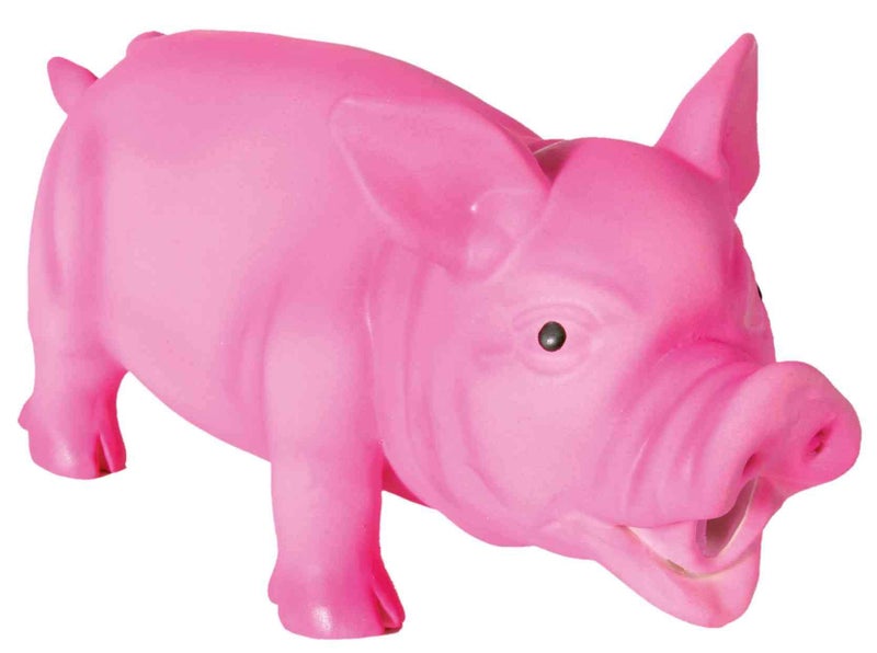Trixie: - Pig Toy for Dogs | Made with Durable and Non-Toxic Latex Material, Encourages Positive Chew Behaviour and Maintains Dental Hygiene | Comes with a Squeaker for Added Fun - 21 cm - Image 4