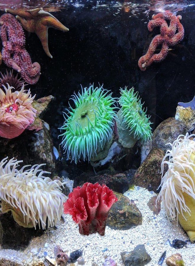 balacoo Artificial Coral Reef Aquarium Decor Resin Coral Rockery Decoration Safe for Fresh and Saltwater Fish Tanks Easy to Clean Fish Tank Ornament - Image 2