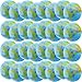 Restroma 32 Pack 16 Inch Inflatable Globe Bulk Blow up Beach Ball Large Inflatable World Globe for Classroom Teaching Beach Playing Pool Party Bags - Image 2