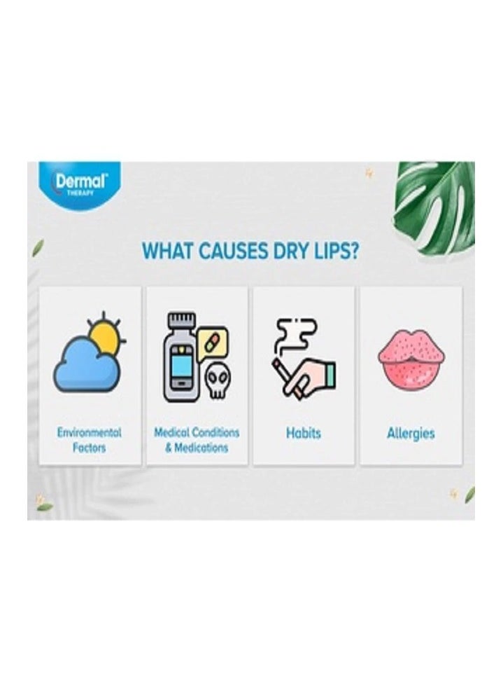 dermal therapy - Lip Balm SPF 50+ Sun Protection Lip Balm For Dry Lips & Sensitive Lips -10g - Image 1