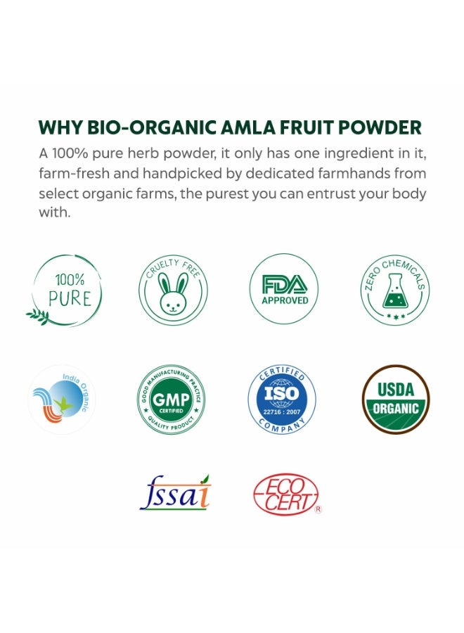 INDUS VALLEY Bio Organic Herbal Henna Powder Rich Colour and Lustrous Shine with Hair Dye Brush (100g) - Green - Image 4