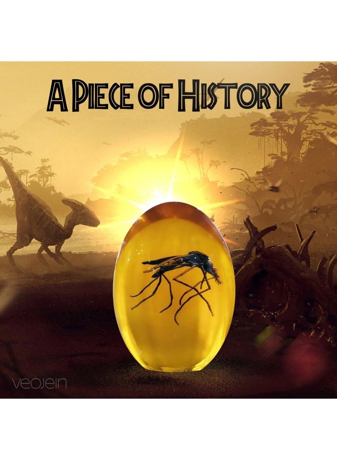 VEOJEIN Jurassic Mosquito in Amber [2D-C] Durable Resin Encased Detailed 2D Insect. Perfect for Collectors and Enthusiasts | Paperweight, Aged Effect, Desk Ornament - Image 2