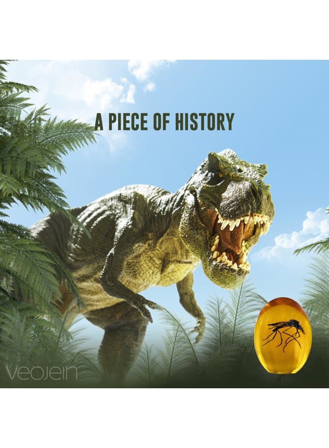 VEOJEIN Jurassic Mosquito in Amber [2D-C] Durable Resin Encased Detailed 2D Insect. Perfect for Collectors and Enthusiasts | Paperweight, Aged Effect, Desk Ornament - Image 3