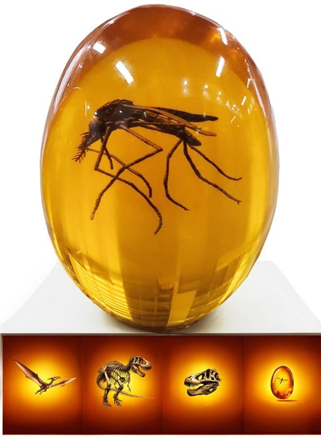 VEOJEIN Jurassic Mosquito in Amber [2D-C] Durable Resin Encased Detailed 2D Insect. Perfect for Collectors and Enthusiasts | Paperweight, Aged Effect, Desk Ornament - Image 1