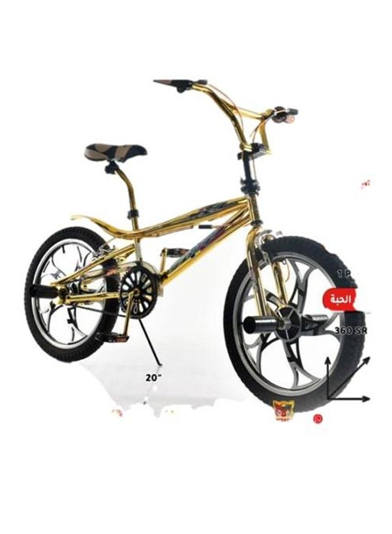 Rally Metallic Bicycle With Disc Brakes Size 20