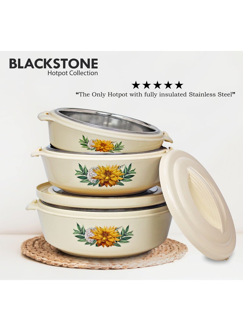 BLACKSTONE طقم قدر معزول 3 قطع 2.5، 3.5، 5.0 لتر - Image 5