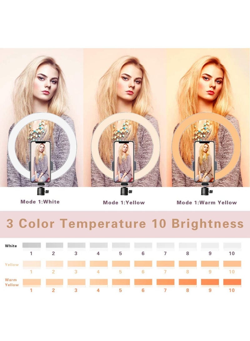 GT-Wheel LED Ring Light 10inch Dimmable with Tripod Stand and Phone Holder for Live Streaming  - Image 2
