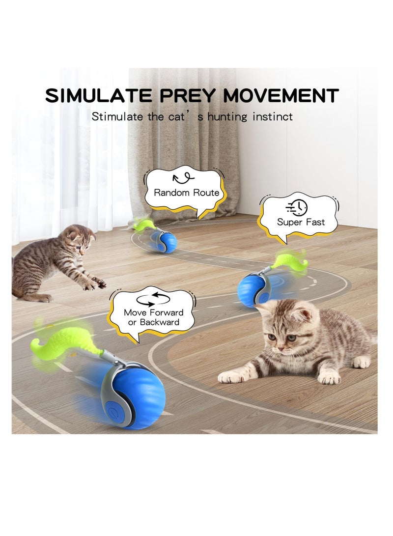 كرة القطط التفاعلية الجديدة من الجيل 2025، لعبة سبيدي تيل 3.0 للحيوانات الأليفة، كرة دوارة، لعبة تفاعلية للقطط داخل المنزل، لعبة ذكية أوتوماتيكية للكلاب والقطط، كرة ارتداد إلكترونية بذيل إضافي، لعبة قطط متحركة أوتوماتيكيًا (أزرق وأحمر) - Image 3