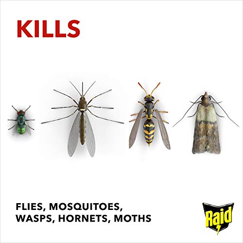 Sc Johnson Raid Fly And Wasp Killer 300Ml - Image 3