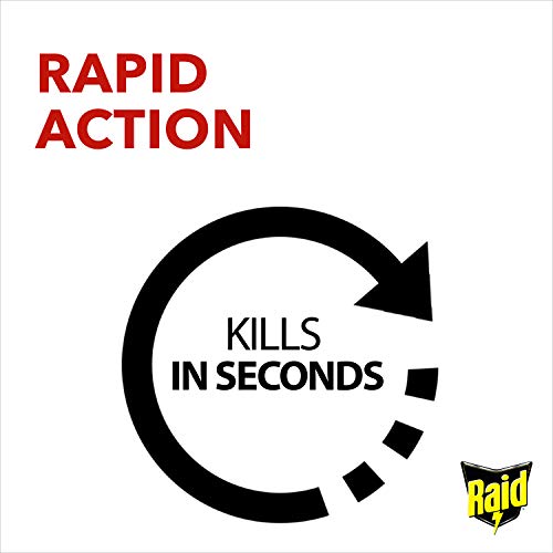 Sc Johnson Raid Fly And Wasp Killer 300Ml - Image 2