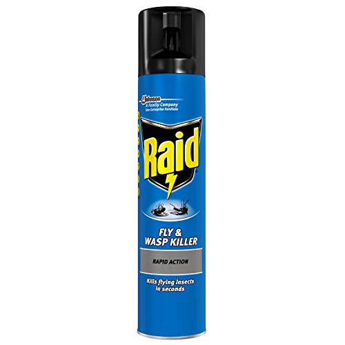 Sc Johnson Raid Fly And Wasp Killer 300Ml - Image 1