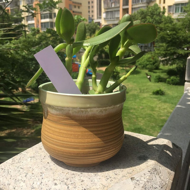 Mihey 100 Pcs 4 Inch Plastic Nursery Garden Stake Tags Plant Seed Garden Labels Pot Marker White - Image 4