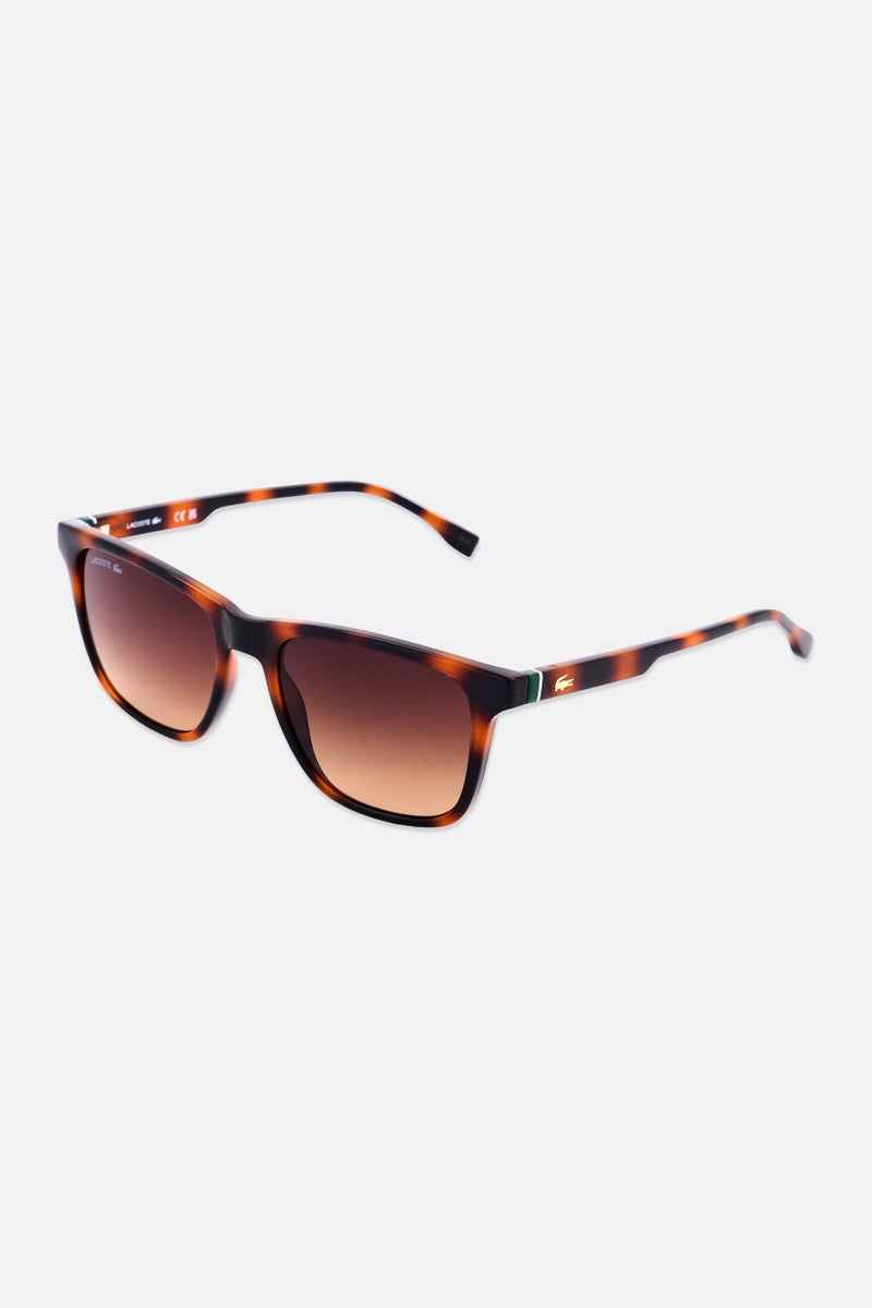 LACOSTE Men L6041S Square Sunglasses, Havana Brown - Image 3