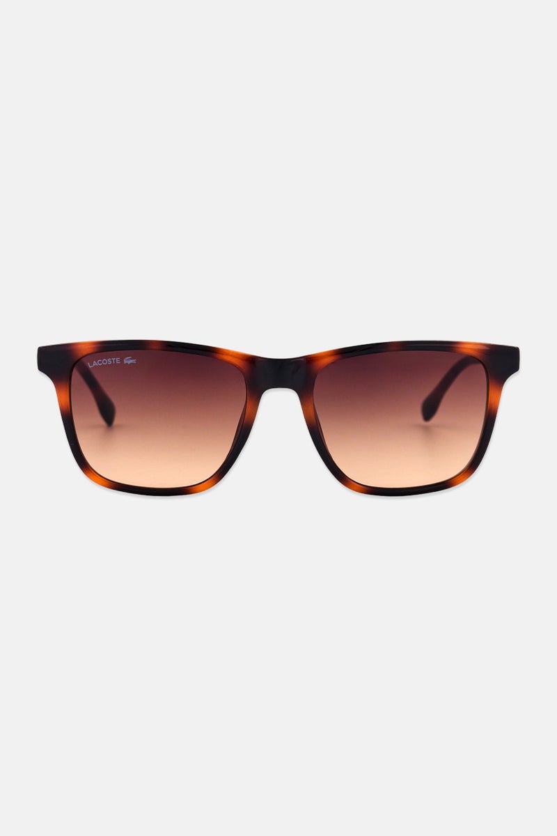 LACOSTE Men L6041S Square Sunglasses, Havana Brown - Image 1