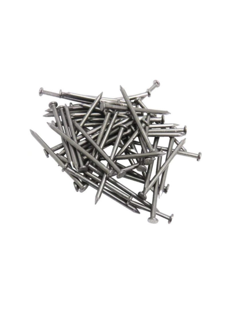 High Strength Round Head Nails For Carpentry Hardware Electrical Etc (50, 2 1/2 inch) - Image 1