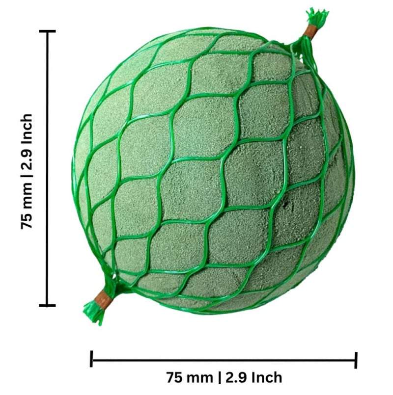 Just Flowers Wet and Dry Floral Foam Blocks Flower Arrangement Kit for Fresh or Artificial Flowers (Green, 9"L x 3"W x 4"H) Sponge for Flower Decoration (Pack of 2Pc Each Sphere 75MM & 120MM) - Image 4