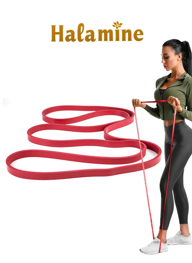 Halamine Resistance Bands for Women and Men，Pull Up Bands Exercise Loop Band for Yoga Pilates Resistance Training  - Image 1