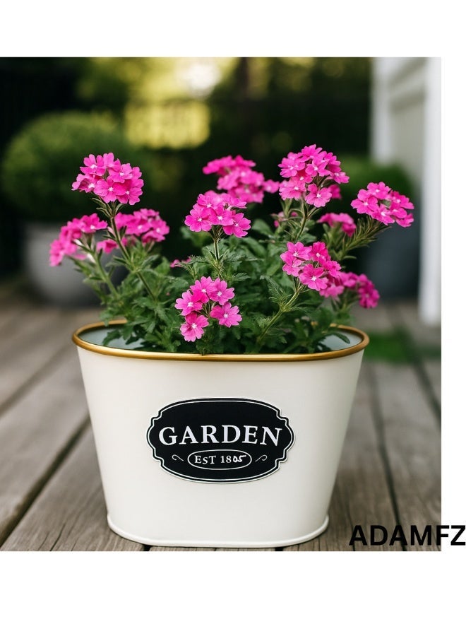 Garden Premium White Oval Planter Pot – 22x14x17.5 cm Decorative Plastic Flower Pot for Indoor & Outdoor Plants, Herbs, Succulents & Home Garden Décor - Image 1
