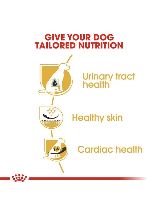 ROYAL CANIN Breed Health Nutrition Dalmatian Adult 12 KG - Image 3