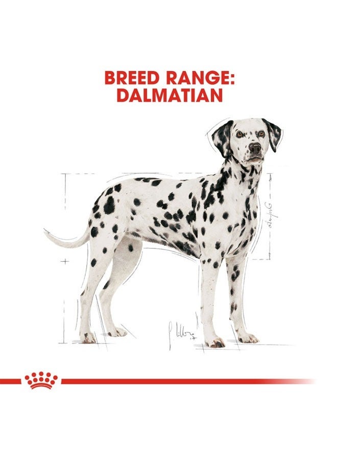 ROYAL CANIN Breed Health Nutrition Dalmatian Adult 12 KG - Image 5