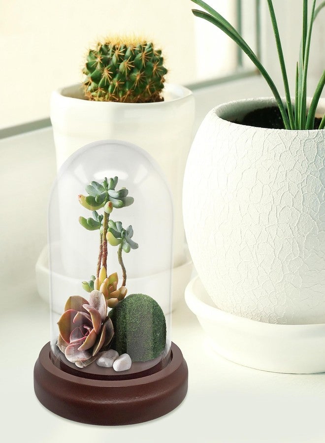 BANBERRY DESIGNS Clear Glass Dome with Hook & Base - 4" H X 4" W - Wooden Base - Display Dome - Metal Hook - Image 5