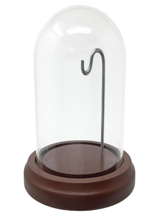 BANBERRY DESIGNS Clear Glass Dome with Hook & Base - 4" H X 4" W - Wooden Base - Display Dome - Metal Hook - Image 1