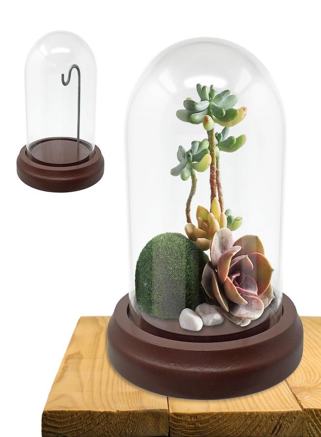 BANBERRY DESIGNS Clear Glass Dome with Hook & Base - 4" H X 4" W - Wooden Base - Display Dome - Metal Hook - Image 4