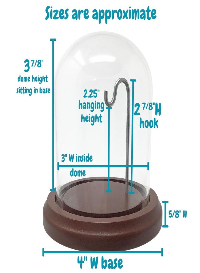 BANBERRY DESIGNS Clear Glass Dome with Hook & Base - 4" H X 4" W - Wooden Base - Display Dome - Metal Hook - Image 2