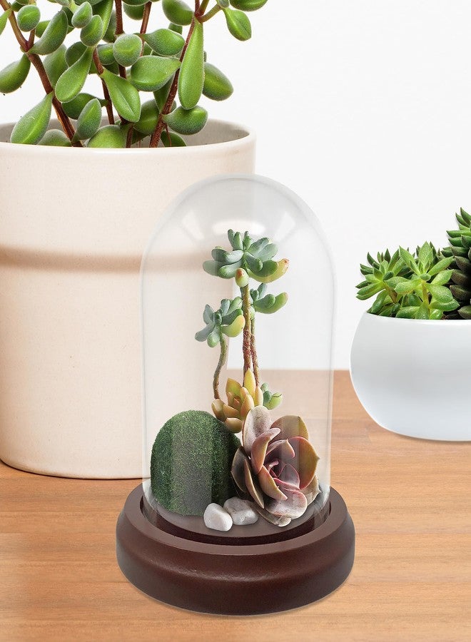 BANBERRY DESIGNS Clear Glass Dome with Hook & Base - 4" H X 4" W - Wooden Base - Display Dome - Metal Hook - Image 3