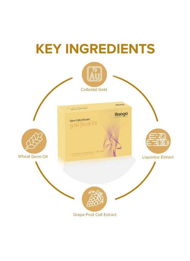 RAAGA PROFESSIONAL - Stem Cells Infused Facial Kit Gold 61 G - Image 1