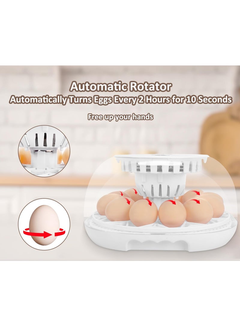 Generic 12 Egg Incubator, Smart Egg Incubator with Automatic Egg Turning, Automatic Humidity Refill and Automatic Temperature Control, Incubator with Temperature Display for Chicken/Duck/Quail/Goose  - Image 2