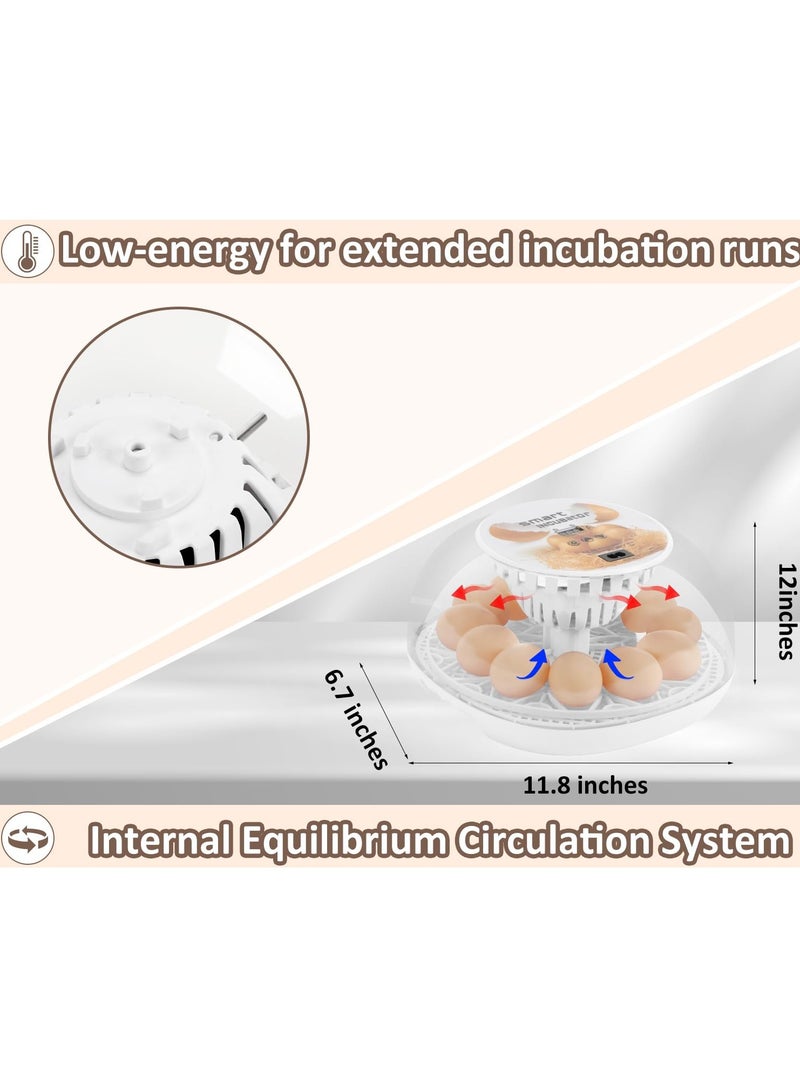 Generic 12 Egg Incubator, Smart Egg Incubator with Automatic Egg Turning, Automatic Humidity Refill and Automatic Temperature Control, Incubator with Temperature Display for Chicken/Duck/Quail/Goose  - Image 4