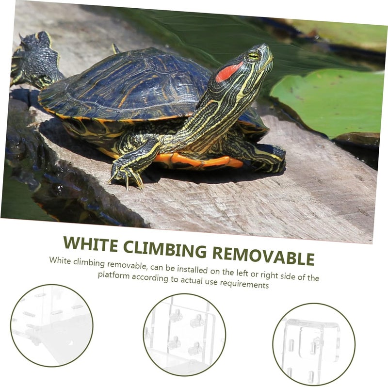 1 Set Acrylic Turtle Drying Platform for Reptiles Climbing Slope Terrace for Turtles Water Basking Rest Area for Hibernation and Spawning and Colorfast Design - Image 5