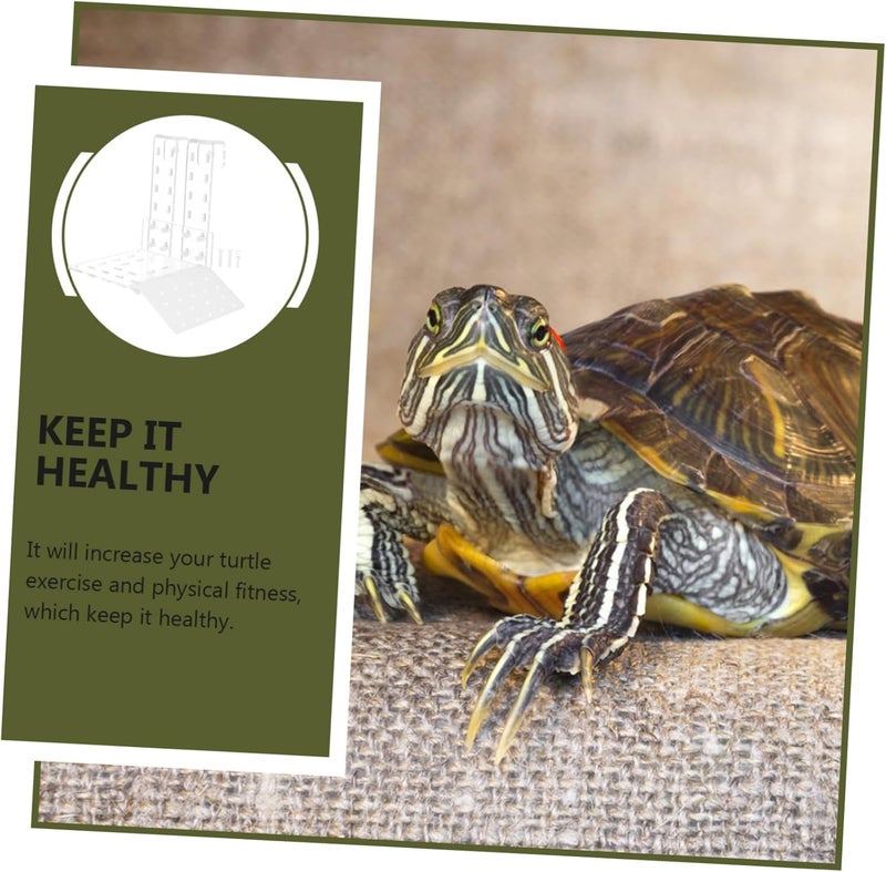 1 Set Acrylic Turtle Drying Platform for Reptiles Climbing Slope Terrace for Turtles Water Basking Rest Area for Hibernation and Spawning and Colorfast Design - Image 4