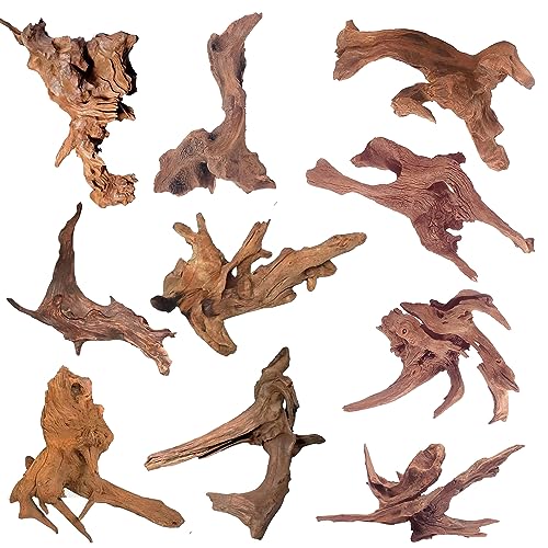 WDEFUN Natural Driftwood for Aquarium Decor, 10-Piece 2''-5'' Small Driftwood for Decorations on Fish Tank, Reptiles Bearded Dragon Accessories or Air Plants - Image 1