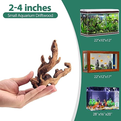 WDEFUN Natural Driftwood for Aquarium Decor, 10-Piece 2''-5'' Small Driftwood for Decorations on Fish Tank, Reptiles Bearded Dragon Accessories or Air Plants - Image 2