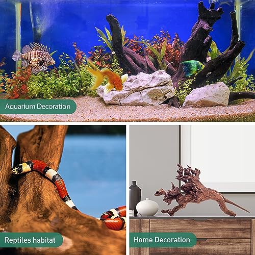 WDEFUN Natural Driftwood for Aquarium Decor, 10-Piece 2''-5'' Small Driftwood for Decorations on Fish Tank, Reptiles Bearded Dragon Accessories or Air Plants - Image 3