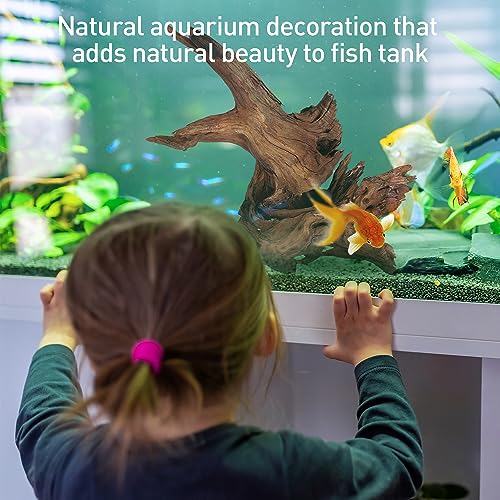 WDEFUN Natural Driftwood for Aquarium Decor, 10-Piece 2''-5'' Small Driftwood for Decorations on Fish Tank, Reptiles Bearded Dragon Accessories or Air Plants - Image 4