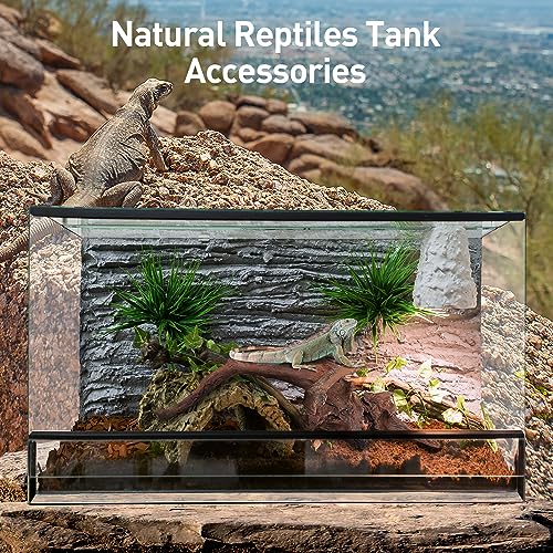 WDEFUN Natural Driftwood for Aquarium Decor, 10-Piece 2''-5'' Small Driftwood for Decorations on Fish Tank, Reptiles Bearded Dragon Accessories or Air Plants - Image 5