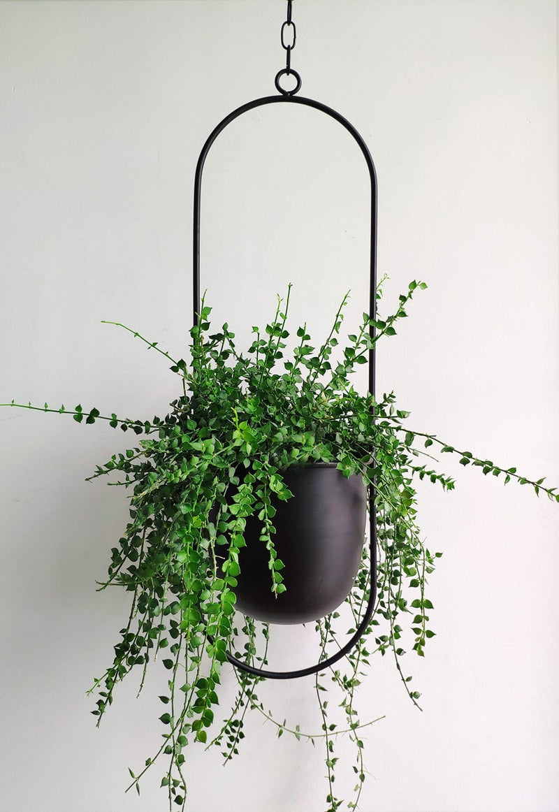 RISEON Boho Black Metal Plant Hanger,Metal Wall and Ceiling Hanging Planter, Modern Planter, Mid Century Flower Pot Plant Holder, Minimalist Planter for Indoor Outdoor Home Decor - Image 1