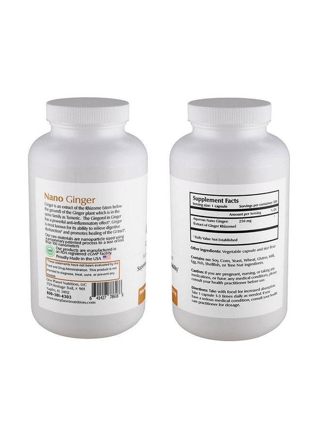 One Planet Nutrition Nano Ginger Root 250 mg Veggie Capsules (120 Servings), Pure Ginger Root Extract, Nano for Superior Absorption, Enhances Digestive Health, Non-GMO, Vegan Gluten Free - Image 2
