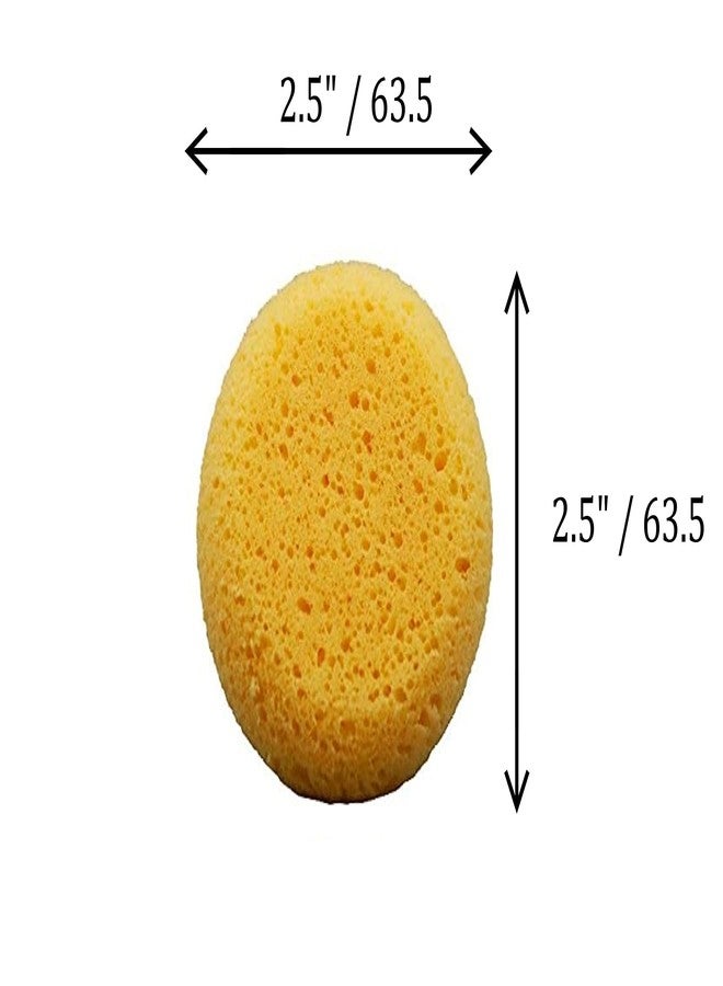 Creative Hobbies Pack of 12 Synthetic Sponges - 2-1/2 Inch Round Craft Sponge for Leather Care, Horse Tack Maintenance and Versatile Crafting - Image 3