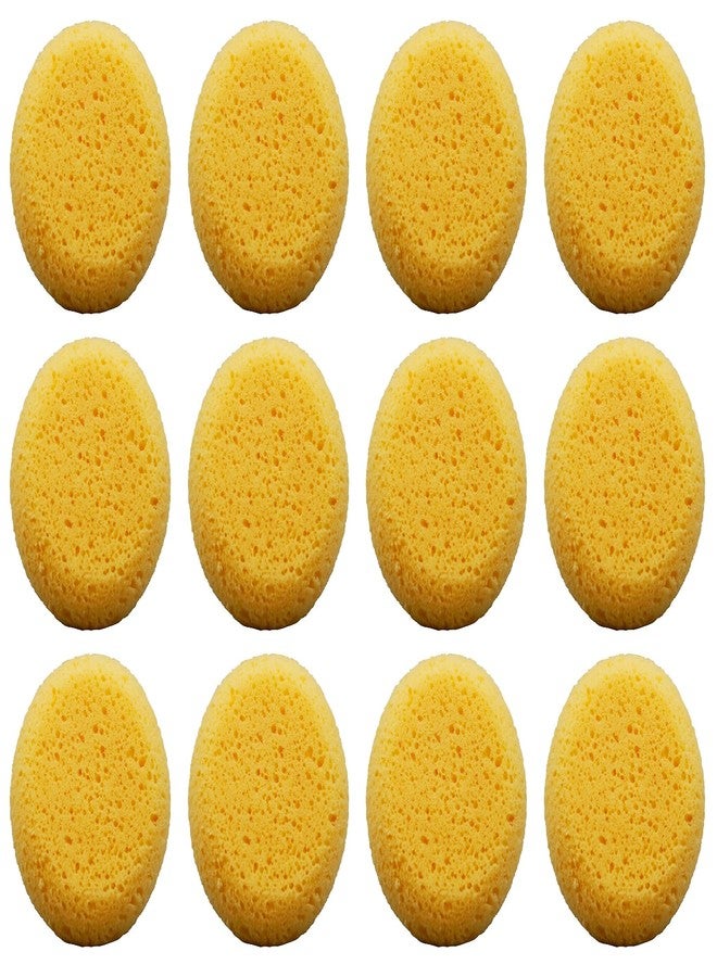 Creative Hobbies Pack of 12 Synthetic Sponges - 2-1/2 Inch Round Craft Sponge for Leather Care, Horse Tack Maintenance and Versatile Crafting - Image 1
