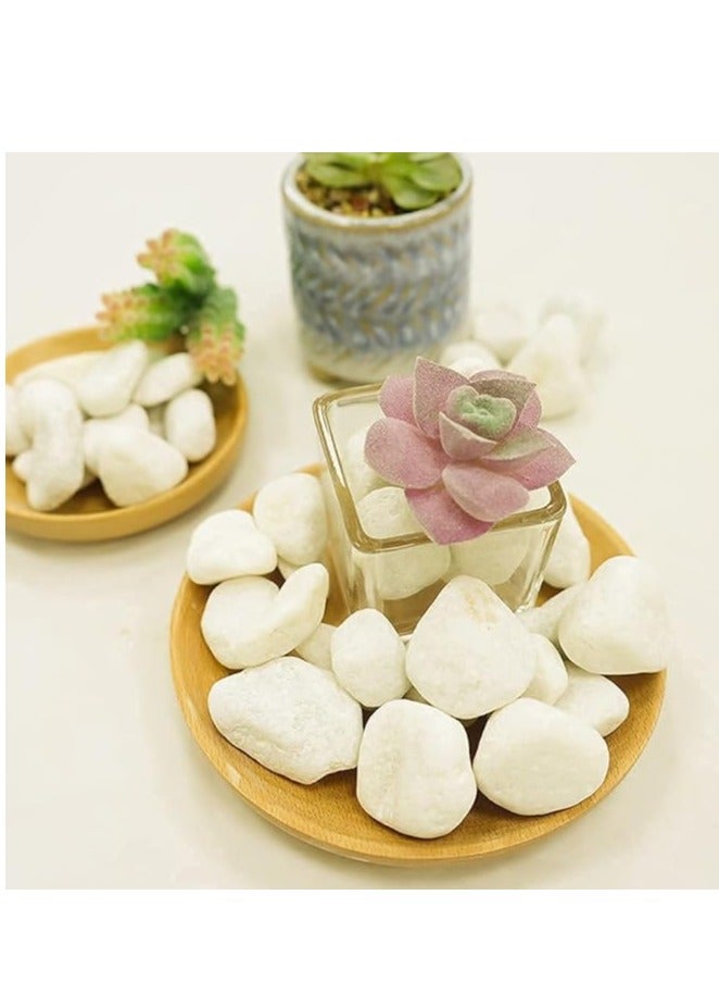 UNITED ARAB EMIRATES Snow White 3-5 cm Decorative Pebbles Natural Decorative Rocks for Garden Plants Succulents Vase Aquariums Landscape River Stones Outdoor | 20 kgs. - Image 2