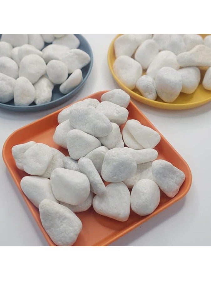 UNITED ARAB EMIRATES Snow White 3-5 cm Decorative Pebbles Natural Decorative Rocks for Garden Plants Succulents Vase Aquariums Landscape River Stones Outdoor | 20 kgs. - Image 3