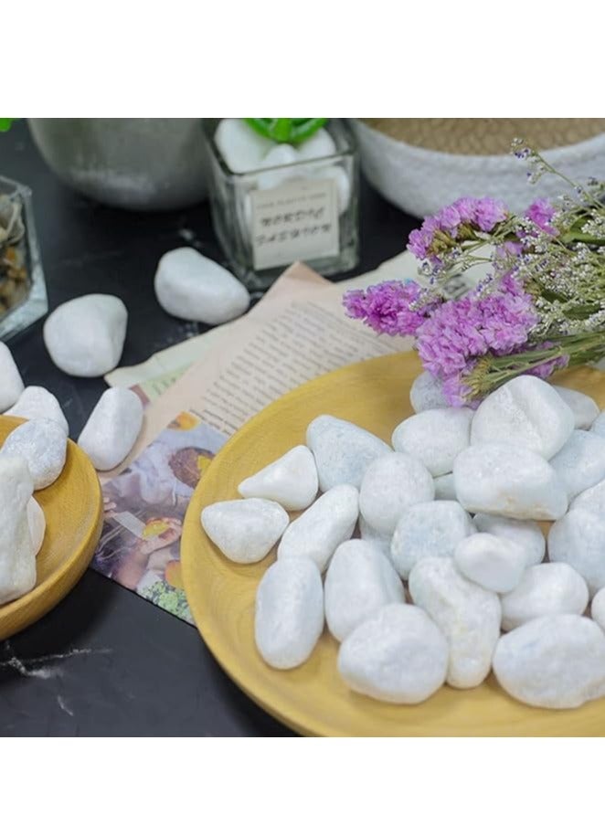 UNITED ARAB EMIRATES Snow White 3-5 cm Decorative Pebbles Natural Decorative Rocks for Garden Plants Succulents Vase Aquariums Landscape River Stones Outdoor | 20 kgs. - Image 5