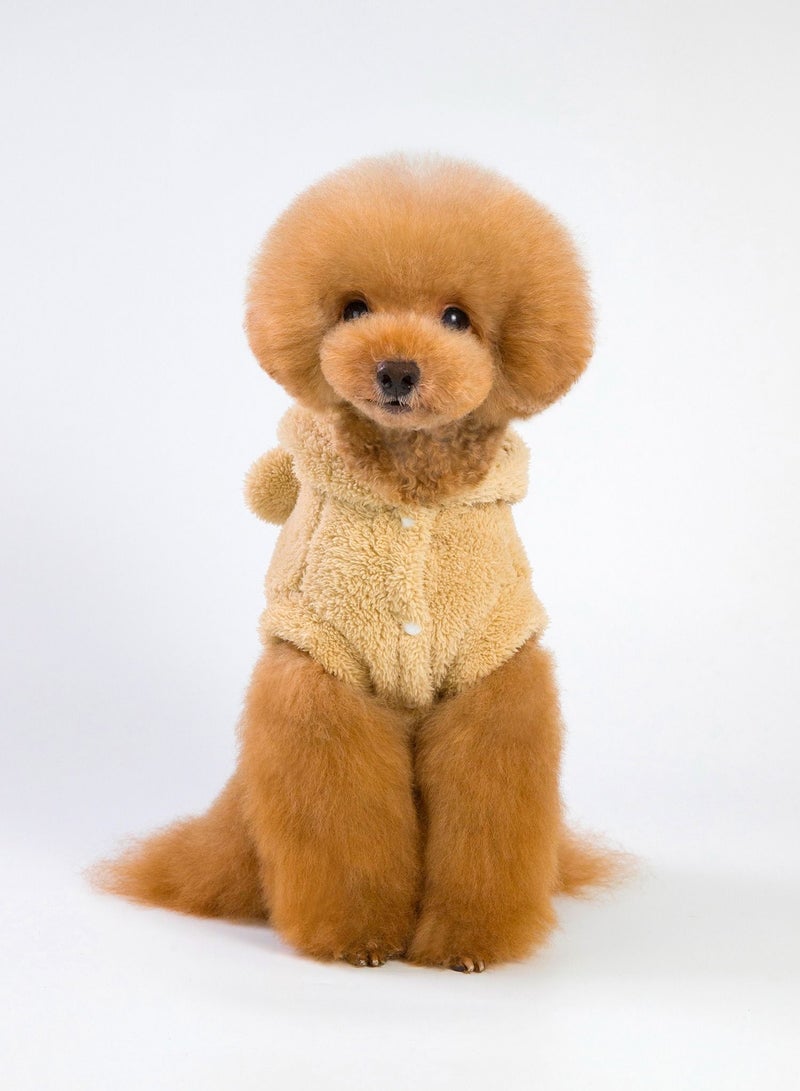 Loquat A Pet Dog Wears A Coat And A Hat Yellow  - Image 1