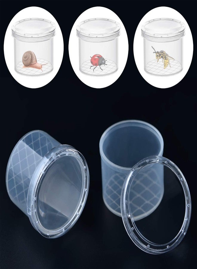 Coopay 80 Pieces Bug Viewer Critter Insect Cage Magnifying Insect Box Bug Magnifier Container Catcher Cage, Science Nature Exploration Tools - Image 4