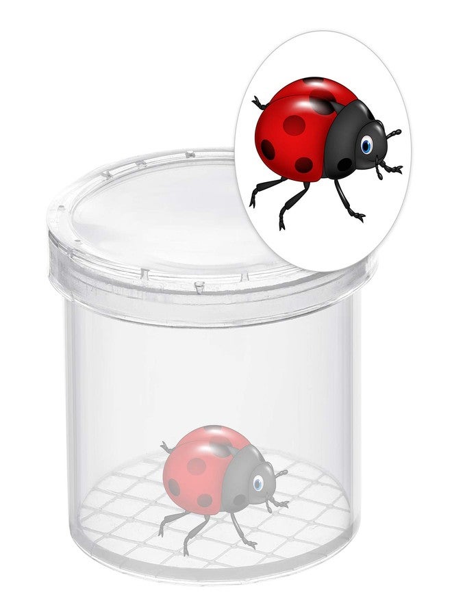 Coopay 80 Pieces Bug Viewer Critter Insect Cage Magnifying Insect Box Bug Magnifier Container Catcher Cage, Science Nature Exploration Tools - Image 2